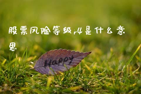 股票风险等级r4是什么意思_https://wap.kuaijiepai.net_金融科技_第1张