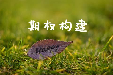 期权构建_https://wap.kuaijiepai.net_外汇交易_第1张
