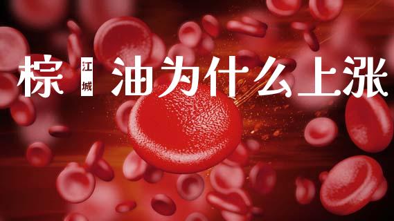 棕榈油为什么上涨_财务风控_第1张_金融科技_财务风控_外汇交易_财务咨询 棕榈油为什么上涨_https://wap.kuaijiepai.net_财务风控_第1张