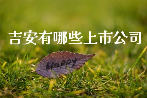 吉安有哪些上市公司_https://wap.kuaijiepai.net_金融科技_第1张