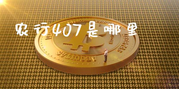 农行407是哪里_https://wap.kuaijiepai.net_财务风控_第1张