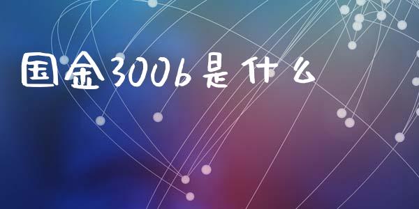 国金300b是什么_https://wap.kuaijiepai.net_财务风控_第1张