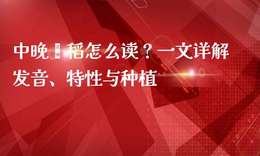 中晚籼稻怎么读？一文详解发音、特性与种植_https://wap.kuaijiepai.net_外汇交易_第1张
