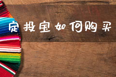 定投宝如何购买_https://wap.kuaijiepai.net_财务风控_第1张