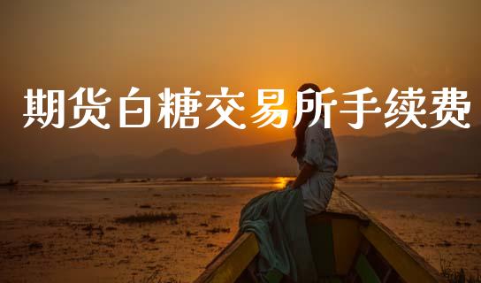 期货白糖交易所手续费_https://wap.kuaijiepai.net_财务风控_第1张
