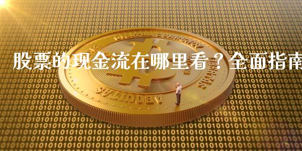 股票的现金流在哪里看？全面指南_https://wap.kuaijiepai.net_财务咨询_第1张