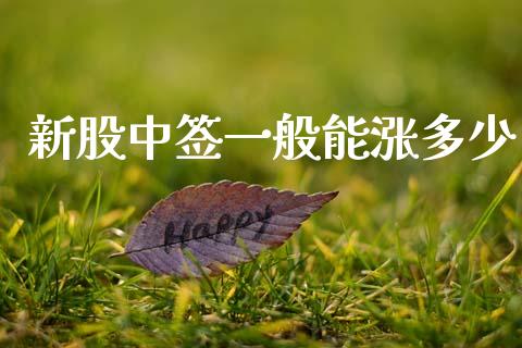 新股中签一般能涨多少_https://wap.kuaijiepai.net_外汇交易_第1张