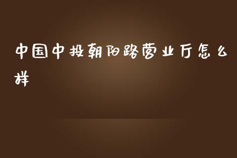 中国中投朝阳路营业厅怎么样_https://wap.kuaijiepai.net_金融科技_第1张