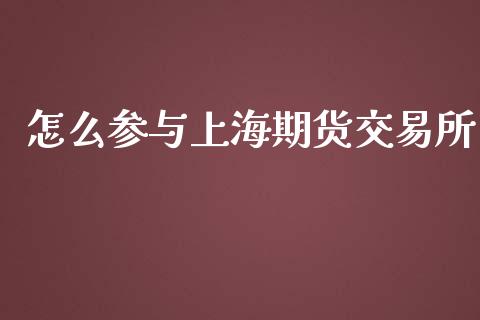 怎么参与上海期货交易所_https://wap.kuaijiepai.net_财务风控_第1张
