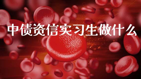 中债资信实习生做什么_https://wap.kuaijiepai.net_财务咨询_第1张