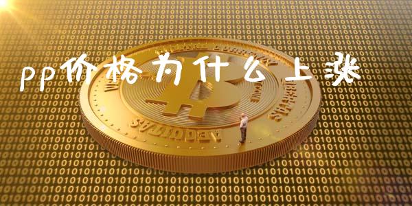 pp价格为什么上涨_https://wap.kuaijiepai.net_外汇交易_第1张
