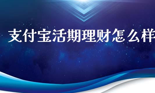 支付宝活期理财怎么样_https://wap.kuaijiepai.net_财务咨询_第1张