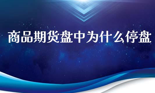 商品期货盘中为什么停盘_https://wap.kuaijiepai.net_外汇交易_第1张