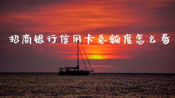 招商银行信用卡总额度怎么看_https://wap.kuaijiepai.net_财务风控_第1张