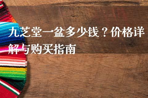 九芝堂一盆多少钱？价格详解与购买指南_https://wap.kuaijiepai.net_财务咨询_第1张