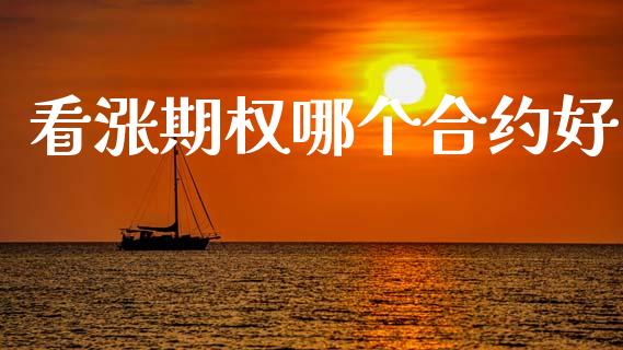 看涨期权哪个合约好_https://wap.kuaijiepai.net_金融科技_第1张