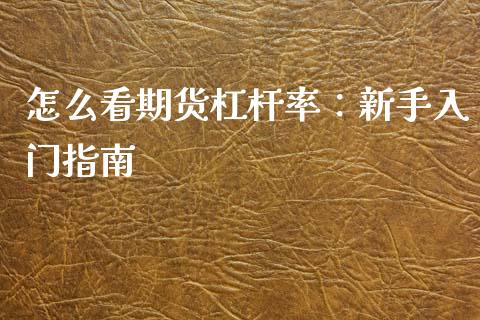 怎么看期货杠杆率：新手入门指南_https://wap.kuaijiepai.net_金融科技_第1张