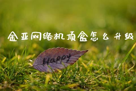 金亚网络机顶盒怎么升级_https://wap.kuaijiepai.net_金融科技_第1张
