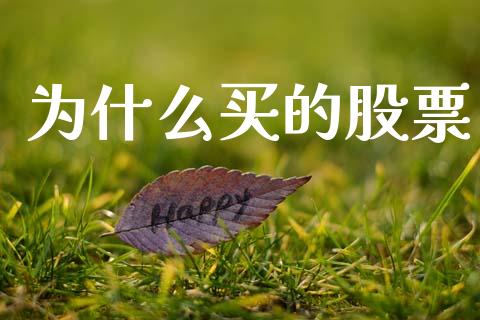 为什么买的股票_https://wap.kuaijiepai.net_外汇交易_第1张