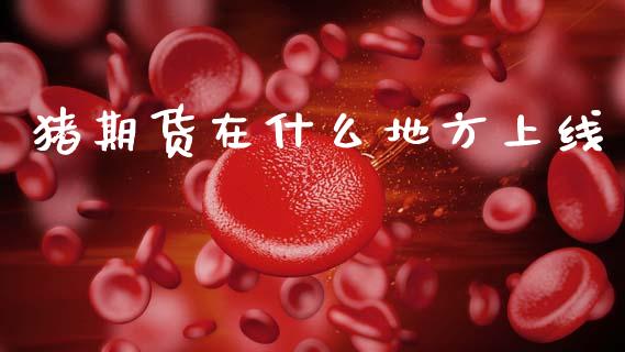 猪期货在什么地方上线_https://wap.kuaijiepai.net_外汇交易_第1张