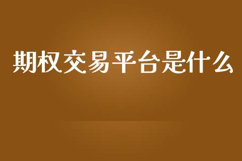 期权交易平台是什么_https://wap.kuaijiepai.net_财务风控_第1张