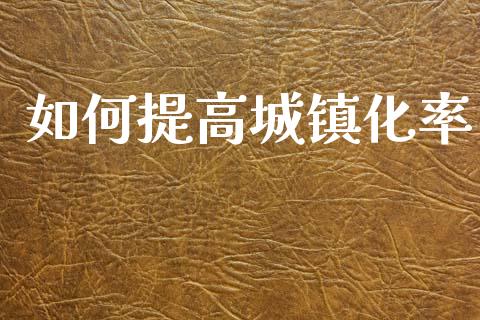 如何提高城镇化率_https://wap.kuaijiepai.net_财务咨询_第1张