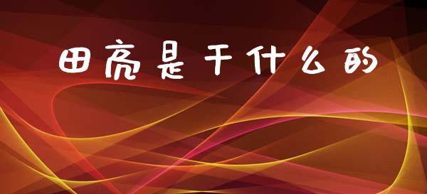 田亮是干什么的_https://wap.kuaijiepai.net_财务风控_第1张