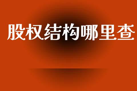 股权结构哪里查_https://wap.kuaijiepai.net_财务咨询_第1张