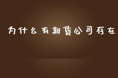 为什么有期货公司存在_https://wap.kuaijiepai.net_外汇交易_第1张
