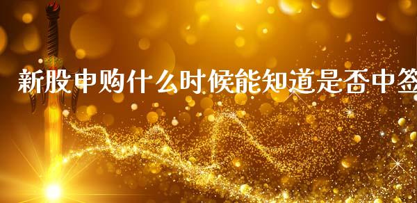 新股申购什么时候能知道是否中签_https://wap.kuaijiepai.net_财务咨询_第1张
