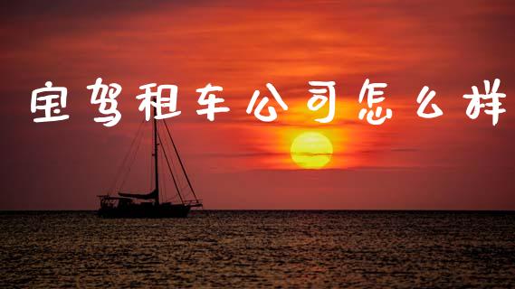 宝驾租车公司怎么样_https://wap.kuaijiepai.net_财务风控_第1张