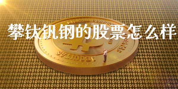 攀钛钒钢的股票怎么样_https://wap.kuaijiepai.net_金融科技_第1张