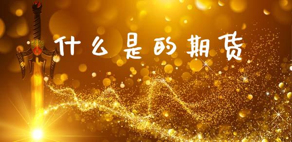 什么是的期货_https://wap.kuaijiepai.net_财务咨询_第1张