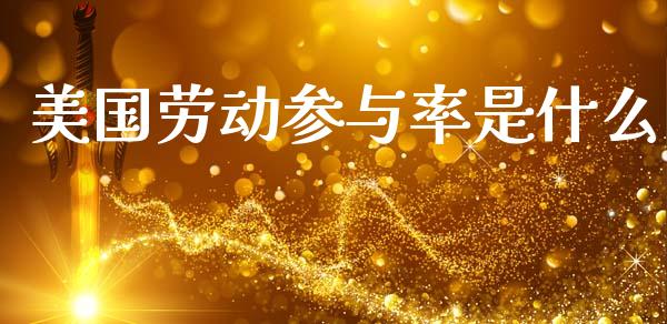 美国劳动参与率是什么_https://wap.kuaijiepai.net_财务咨询_第1张