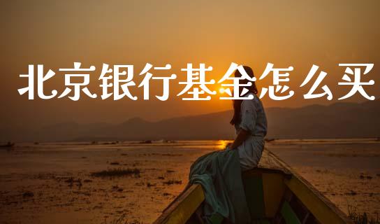 北京银行基金怎么买_https://wap.kuaijiepai.net_财务风控_第1张