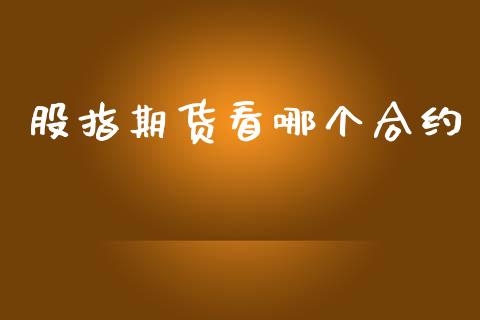股指期货看哪个合约_https://wap.kuaijiepai.net_财务风控_第1张