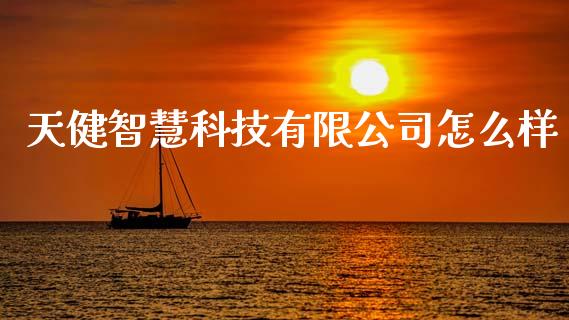天健智慧科技有限公司怎么样_https://wap.kuaijiepai.net_财务咨询_第1张