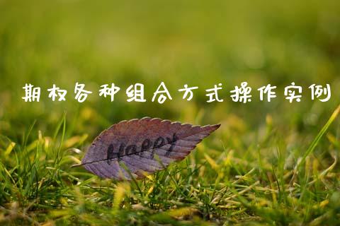 期权各种组合方式操作实例_https://wap.kuaijiepai.net_财务咨询_第1张