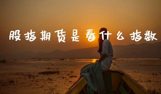 股指期货是看什么指数_https://wap.kuaijiepai.net_财务风控_第1张
