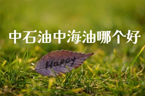 中石油中海油哪个好_https://wap.kuaijiepai.net_财务咨询_第1张
