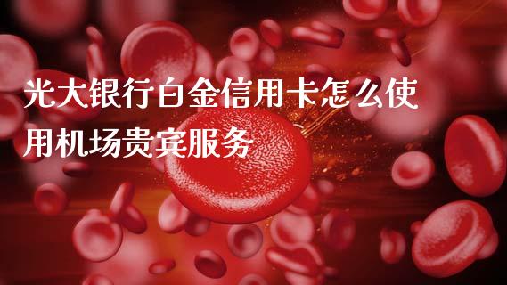光大银行白金信用卡怎么使用机场贵宾服务_https://wap.kuaijiepai.net_财务咨询_第1张