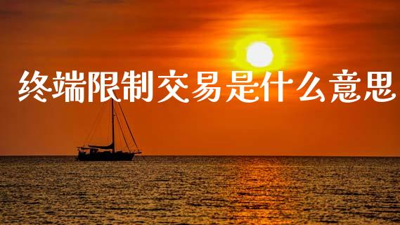 终端限制交易是什么意思_https://wap.kuaijiepai.net_财务风控_第1张