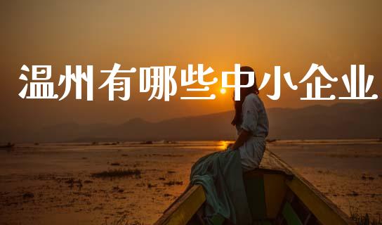 温州有哪些中小企业_https://wap.kuaijiepai.net_金融科技_第1张