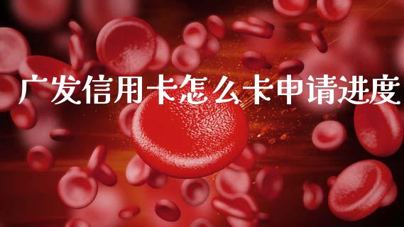广发信用卡怎么卡申请进度_https://wap.kuaijiepai.net_财务风控_第1张