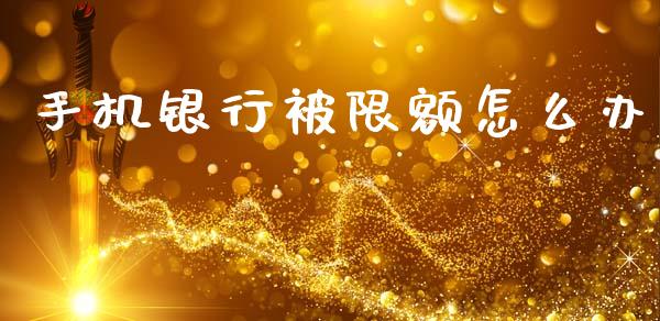 手机银行被限额怎么办_https://wap.kuaijiepai.net_财务风控_第1张