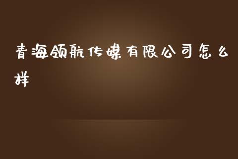 青海领航传媒有限公司怎么样_https://wap.kuaijiepai.net_金融科技_第1张