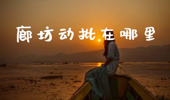廊坊动批在哪里_https://wap.kuaijiepai.net_外汇交易_第1张