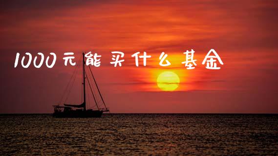 1000元能买什么基金_https://wap.kuaijiepai.net_金融科技_第1张