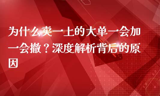 为什么卖一上的大单一会加一会撤？深度解析背后的原因_https://wap.kuaijiepai.net_财务咨询_第1张