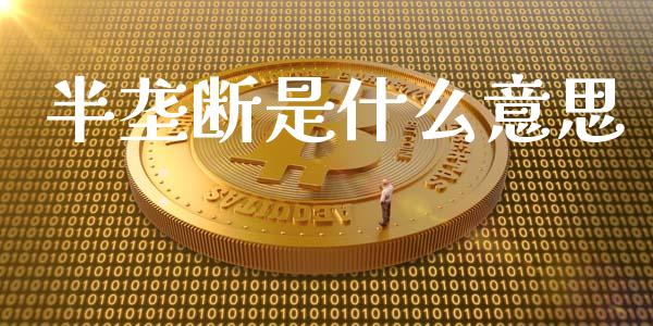 半垄断是什么意思_https://wap.kuaijiepai.net_财务风控_第1张